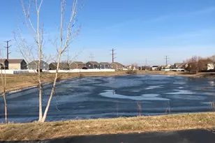 1208 Raintree Ct, Joliet, IL 60431 - Photo 40