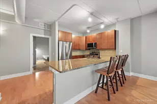 873 N Larrabee St, Chicago, IL 60610 - Photo 4