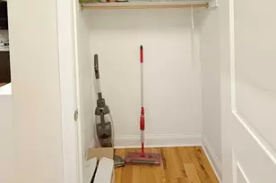 2842 S Union Ave, Chicago, IL 60616 - Photo 16