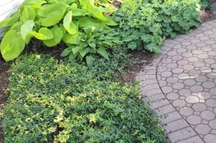 11453 Wildrose Dr, Huntley, IL 60142 - Photo 30