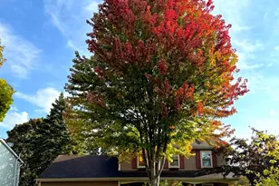 1203 Redfield Rd, Naperville, IL 60563 - Photo 32