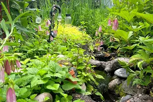 1203 Redfield Rd, Naperville, IL 60563 - Photo 30