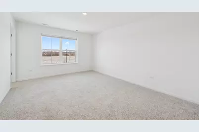 12312 Tinsley Street, Huntley, IL 60142 - Photo 20