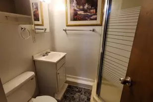 450 E Mulberry Ct, Glenwood, IL 60425 - Photo 14