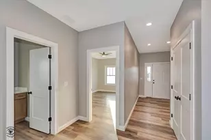 1175 S Farmstone Dr, Diamond, IL 60416 - Photo 4