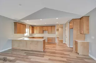 1175 S Farmstone Dr, Diamond, IL 60416 - Photo 14