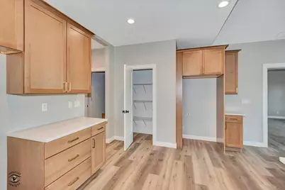 1185 S. Farmstone Drive, Diamond, IL 60416 - Photo 10