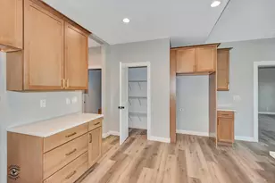 1185 S Farmstone Dr, Diamond, IL 60416 - Photo 14