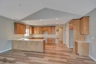 1195 S Farmstone Dr, Diamond, IL 60416 - Photo 8