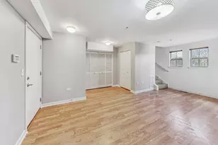 45 E 23rd St, Chicago, IL 60616 - Photo 20