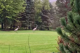 2917 Fox Knoll Ct, Johnsburg, IL 60051 - Photo 52