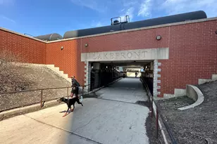 1901 S Calumet Ave, Chicago, IL 60616 - Photo 34