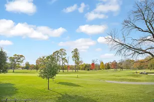 2163 Chestnut Rd, Homewood, IL 60430 - Photo 26