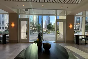 313 W Wolf Point Plaza, Chicago, IL 60654 - Photo 30