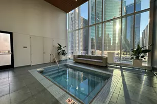 313 W Wolf Point Plaza, Chicago, IL 60654 - Photo 20