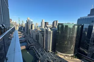 313 W Wolf Point Plaza, Chicago, IL 60654 - Photo 16