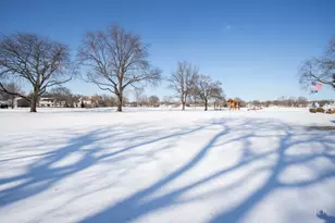 1133 Royal St George Dr, Naperville, IL 60563 - Photo 18