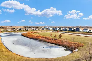 313 London Way, Savoy, IL 61874 - Photo 78