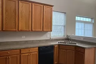 203 W Park Ave, Sugar Grove, IL 60554 - Photo 8