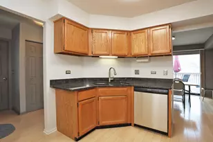 966 N Auburn Woods Dr, Palatine, IL 60067 - Photo 10