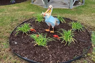 742 Chestnut Ln, Marengo, IL 60152 - Photo 26