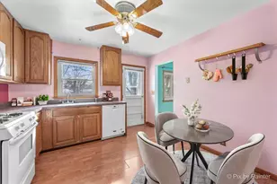 411 Krause Ave, Streamwood, IL 60107 - Photo 10