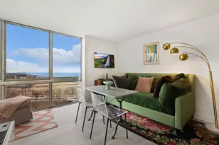 1555 N Dearborn Pkwy, Chicago, IL 60610 - Photo 2