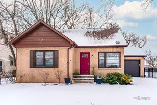 225 Walker Pl, Mundelein, IL 60060 - Photo 1