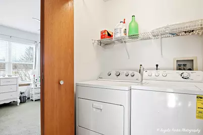 464 Ashford Lane, Grayslake, IL 60030 - Photo 24