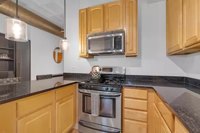 1307 S Wabash Avenue #301, Chicago, IL 60605 - Photo 12