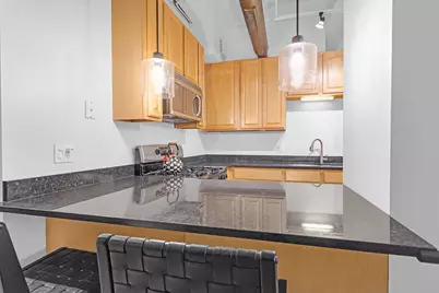 1307 S Wabash Avenue #301, Chicago, IL 60605 - Photo 14