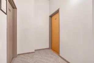 1307 S Wabash Ave, Chicago, IL 60605 - Photo 4