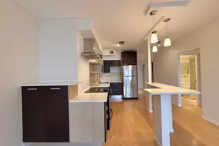 175 E Delaware Pl, Chicago, IL 60611 - Photo 12