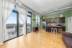 833 W 15th Pl, Chicago, IL 60608 - Photo 10