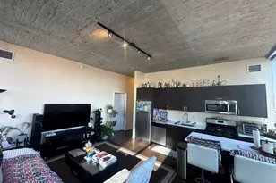 1345 S Wabash Ave, Chicago, IL 60605 - Photo 6