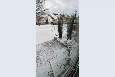 1644 Orchard Avenue #1644, Schaumburg, IL 60193 - Photo 36