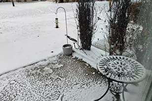 1644 Orchard Ave, Schaumburg, IL 60193 - Photo 36