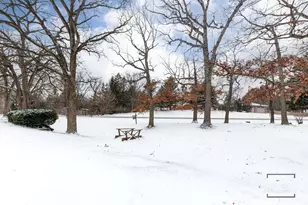 12523 S 86th Ave, Palos Park, IL 60464 - Photo 26