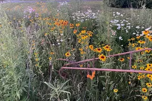 1408 N US Hwy 251, Lostant, IL 61334 - Photo 54