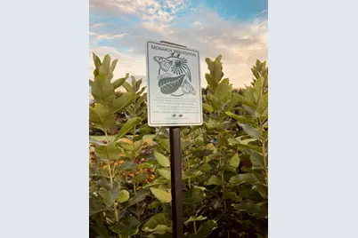 1408 N US Highway 251, Lostant, IL 61334 - Photo 56