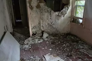 8350 S Green St, Chicago, IL 60620 - Photo 4