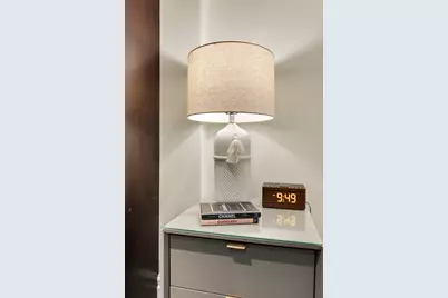 70 E Walton Street #903, Chicago, IL 60611 - Photo 16