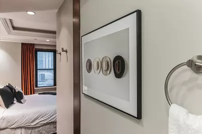 70 E Walton Street #903, Chicago, IL 60611 - Photo 18