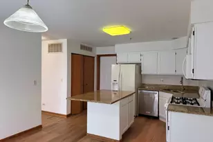 1303 Orleans Dr, Mundelein, IL 60060 - Photo 10