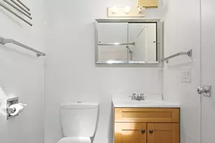 1412 E Rochdale Pl, Chicago, IL 60615 - Photo 12