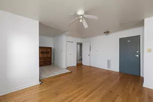 238 W 31st St, Chicago, IL 60616 - Photo 10