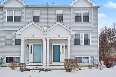 570 N Triumph Court, Hainesville, IL 60073 - Photo 1