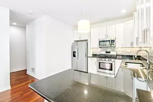 1707 S Ruble St, Chicago, IL 60616 - Photo 8