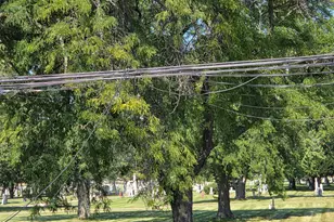 1628 W Juneway Ave, Chicago, IL 60626 - Photo 36