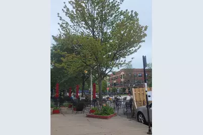 1628 W Juneway Avenue #1, Chicago, IL 60626 - Photo 46